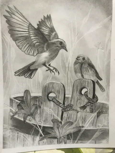 رسم طيور وتفاصيل طبيعية بالقلم