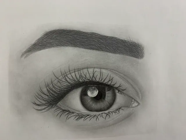 دراسة عين بالرسم والتظليل