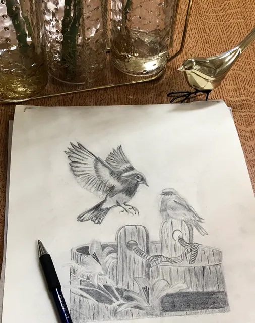 تطبيق رسم طيور بالقلم