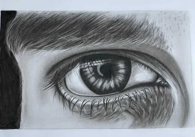رسم تفصيلي لعين بالقلم